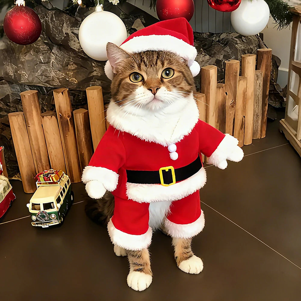 Santa Paws Costume