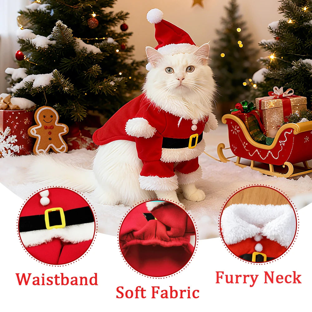Santa Paws Costume