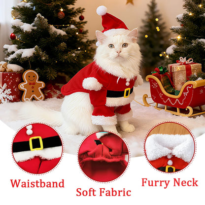 Santa Paws Costume