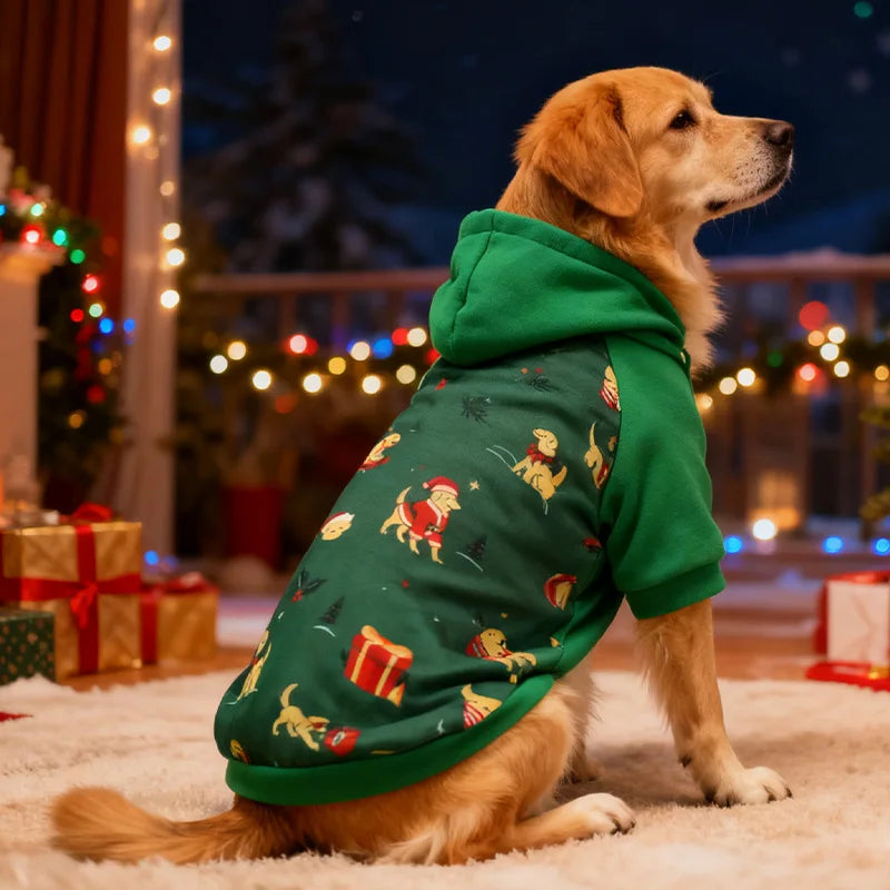 Christmas Pet Hoodie