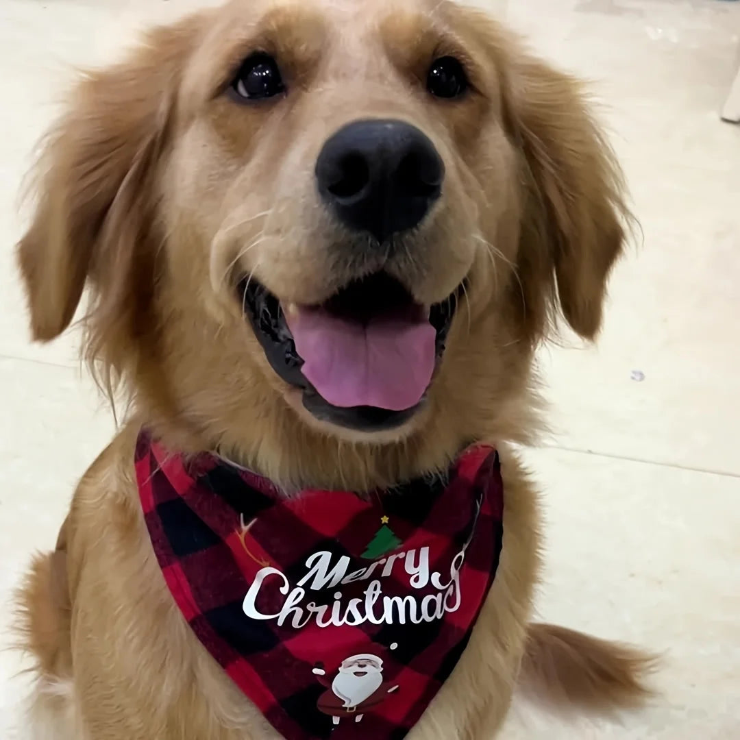 Christmas Dog Bandana